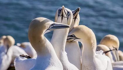 溧阳伴游，定制QQ：3494206190微信：act1322