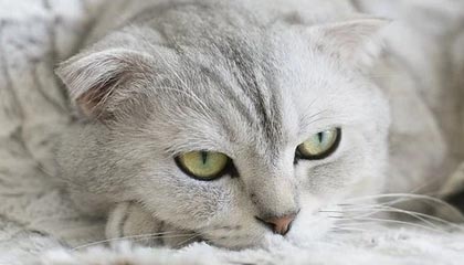 溧阳伴游，定制QQ：3494206190微信：act1322